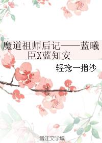 魔道祖师后记——蓝曦臣X蓝知安