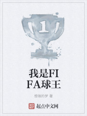 我是FIFA球王